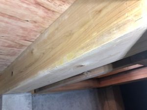 床下　カビ対策